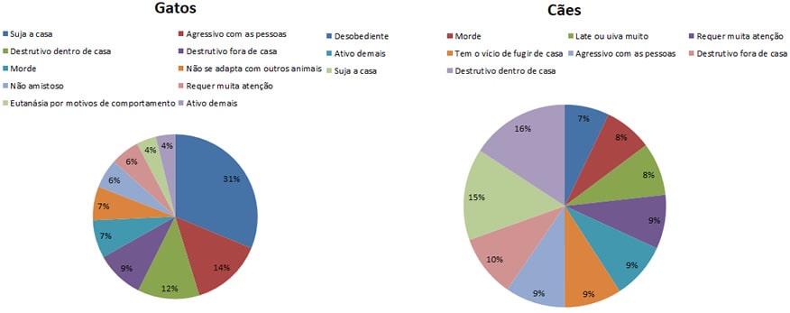doação de cães e gatos