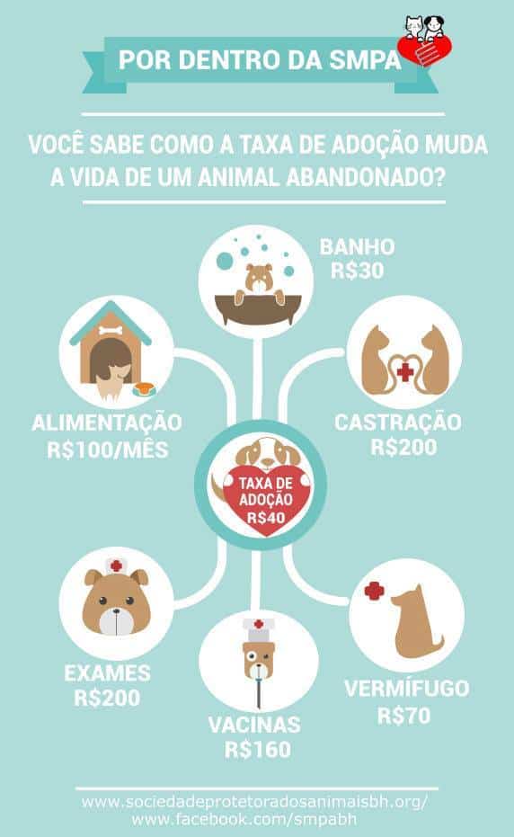 quanto custa manter um animal em uma ong