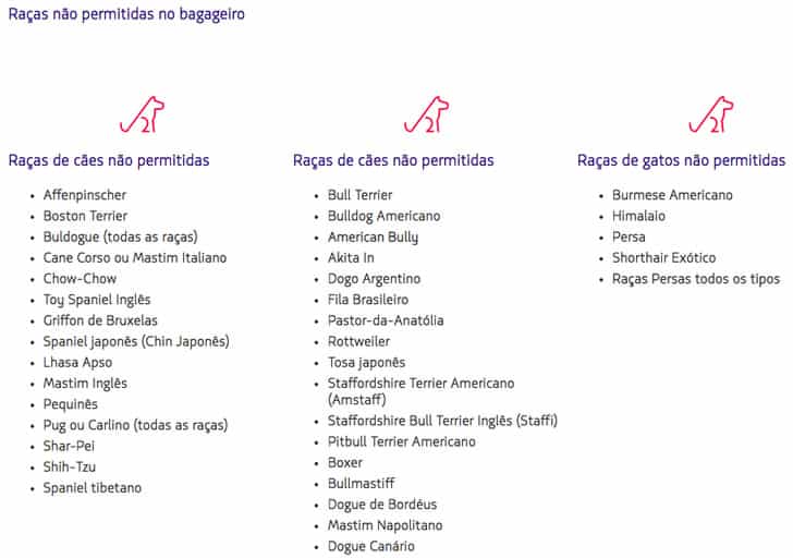 viajar com cachorro pela latam