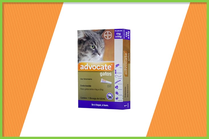 advocate bayer