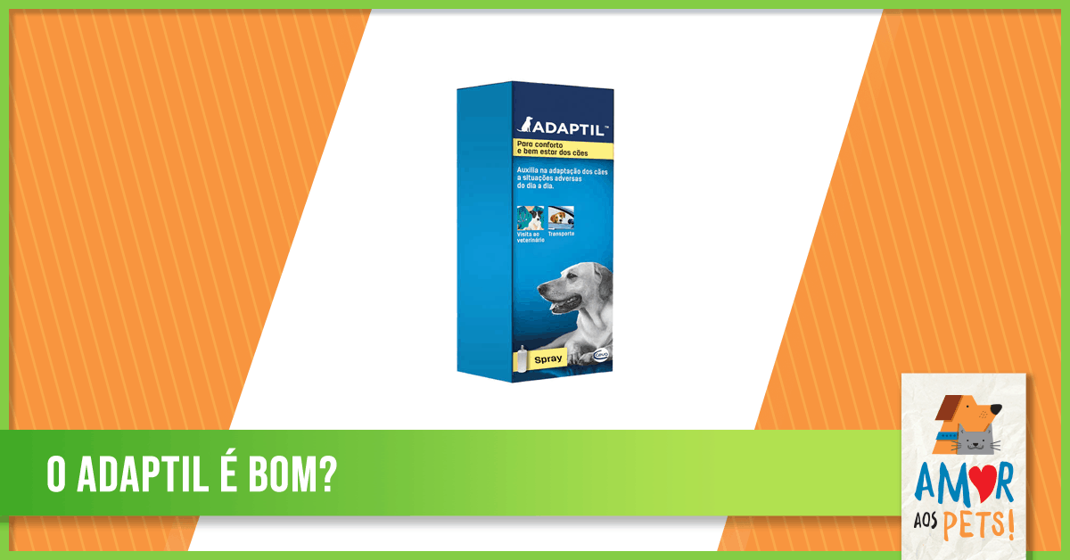 Adaptil Funciona? Confira os Prós & Contras - Amor aos Pets