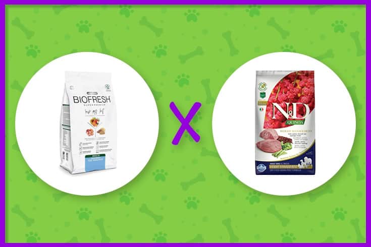 ração biofresh ou n&d