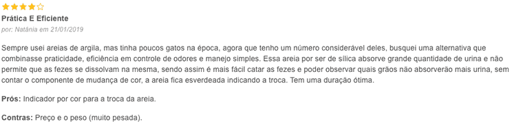 resenha sobre a areia pipicat