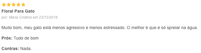 resenha sobre o anizen