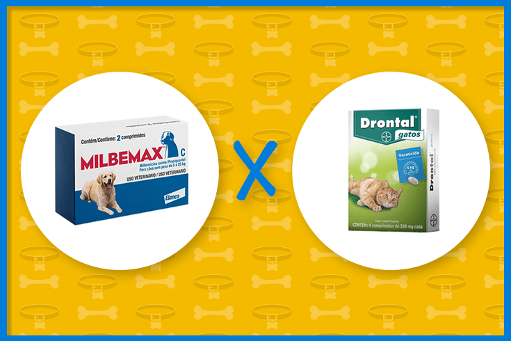 Milbemax ou Drontal