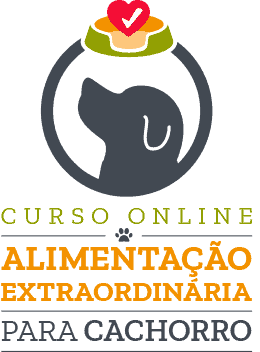 alimentação extraordinária para cachorro