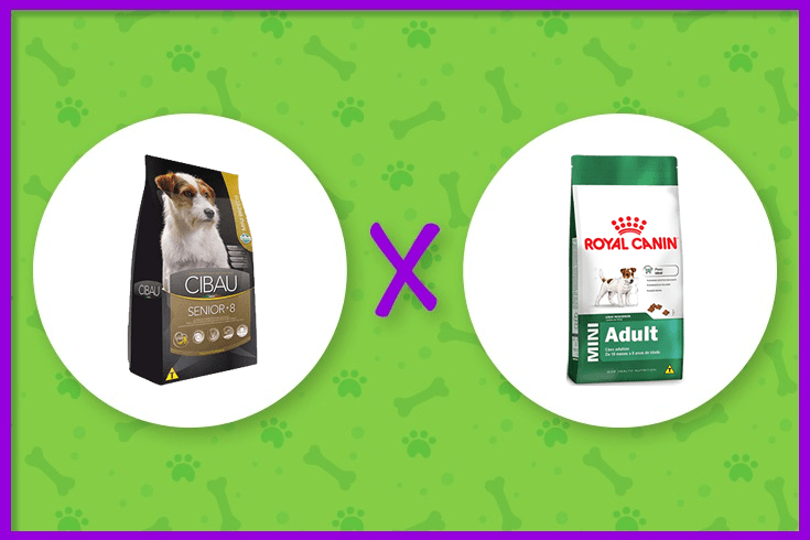 ração Cibau ou Royal Canin