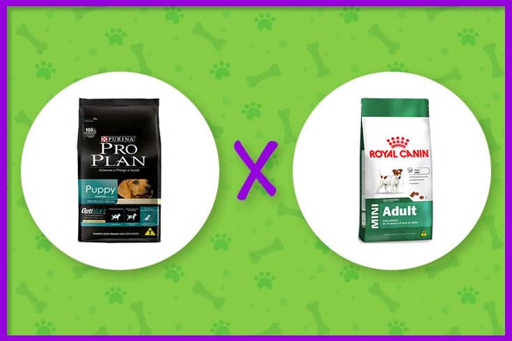 ração Pro Plan ou Royal Canin