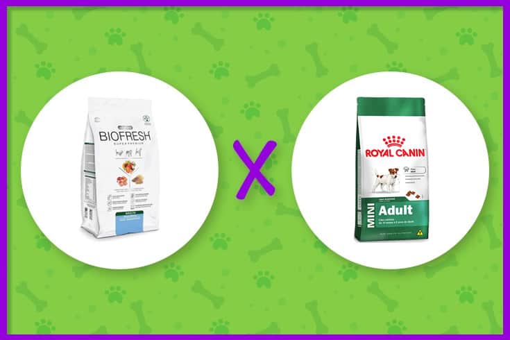ração biofresh ou royal canin
