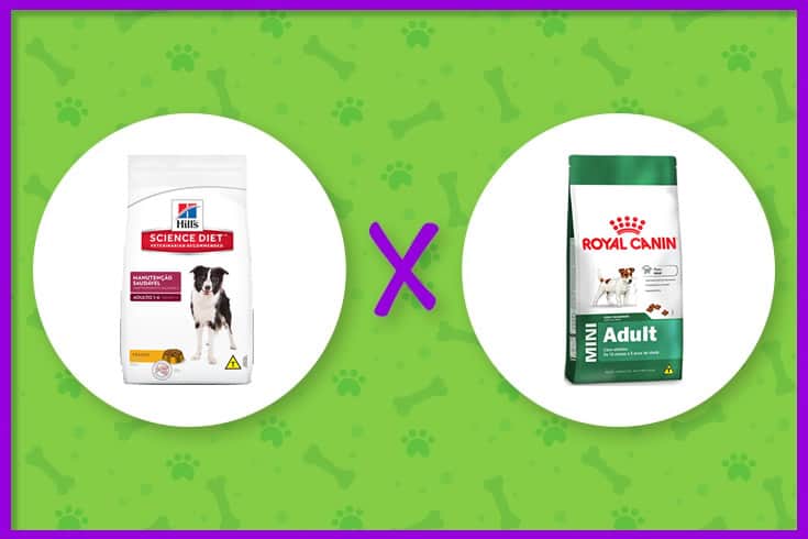 ração hills ou royal canin