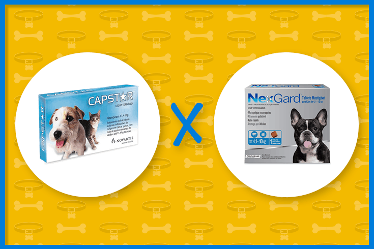capstar ou nexgard