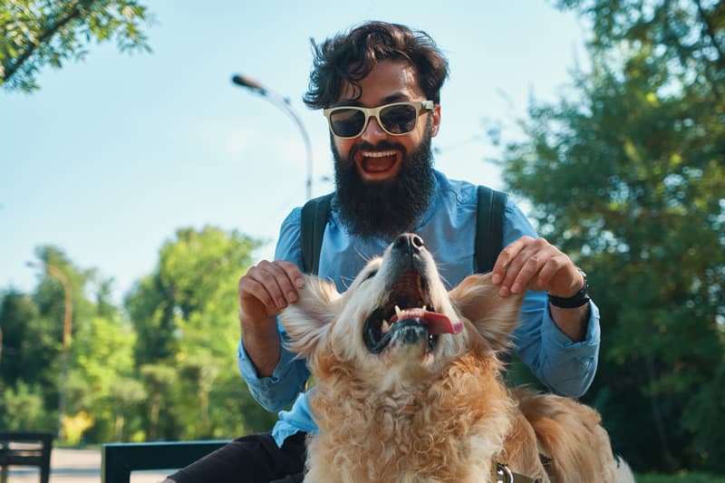 brincando com cachorros