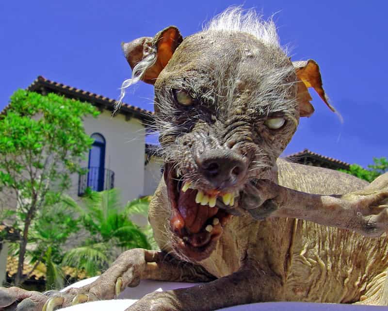 sam