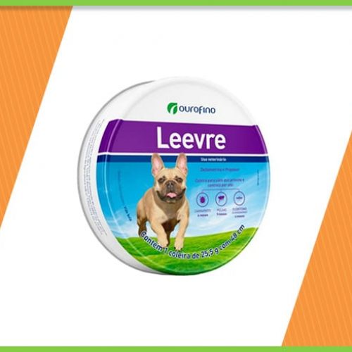 coleira leevre ouro fino