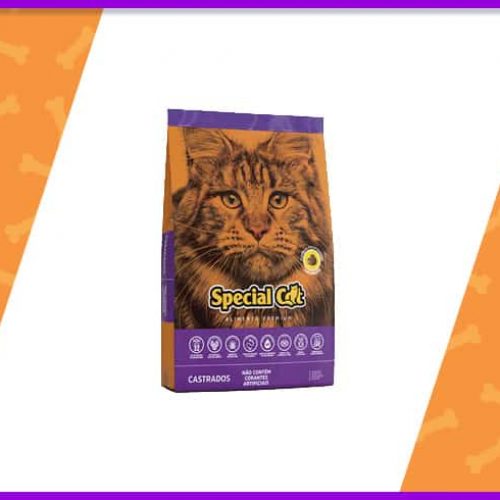 ração special cat